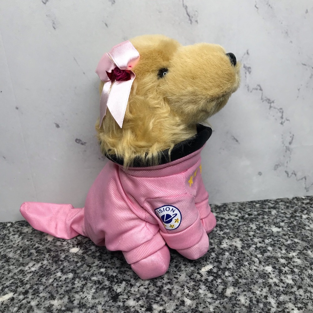 Girl puppy astronaut.